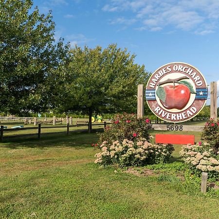 Large Modern North Fork Barn:Vineyards In Backyard, Harbes Farms Villa Mattituck Ngoại thất bức ảnh
